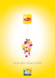 立頓饕餮茶宴 新中式茶文化廣告創意策劃